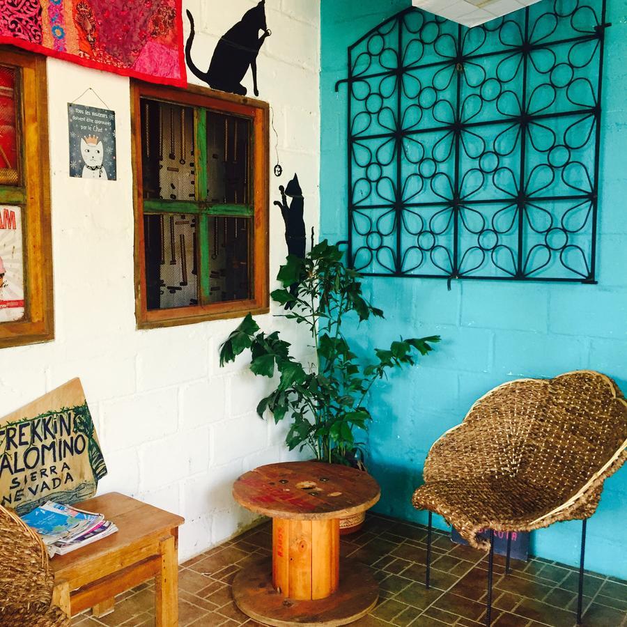 Casa Juntos Hotel Паломино Екстериор снимка