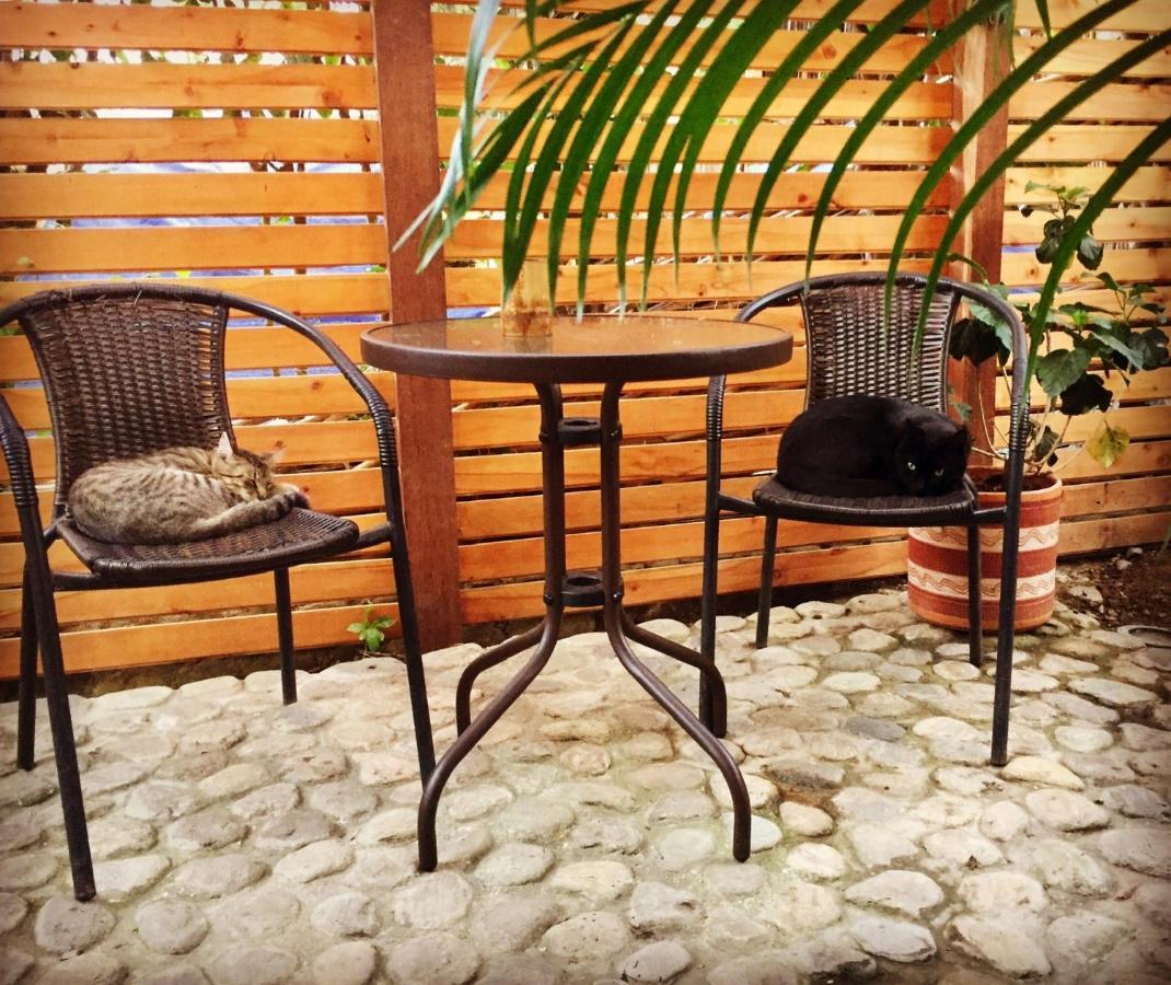 Casa Juntos Hotel Паломино Екстериор снимка